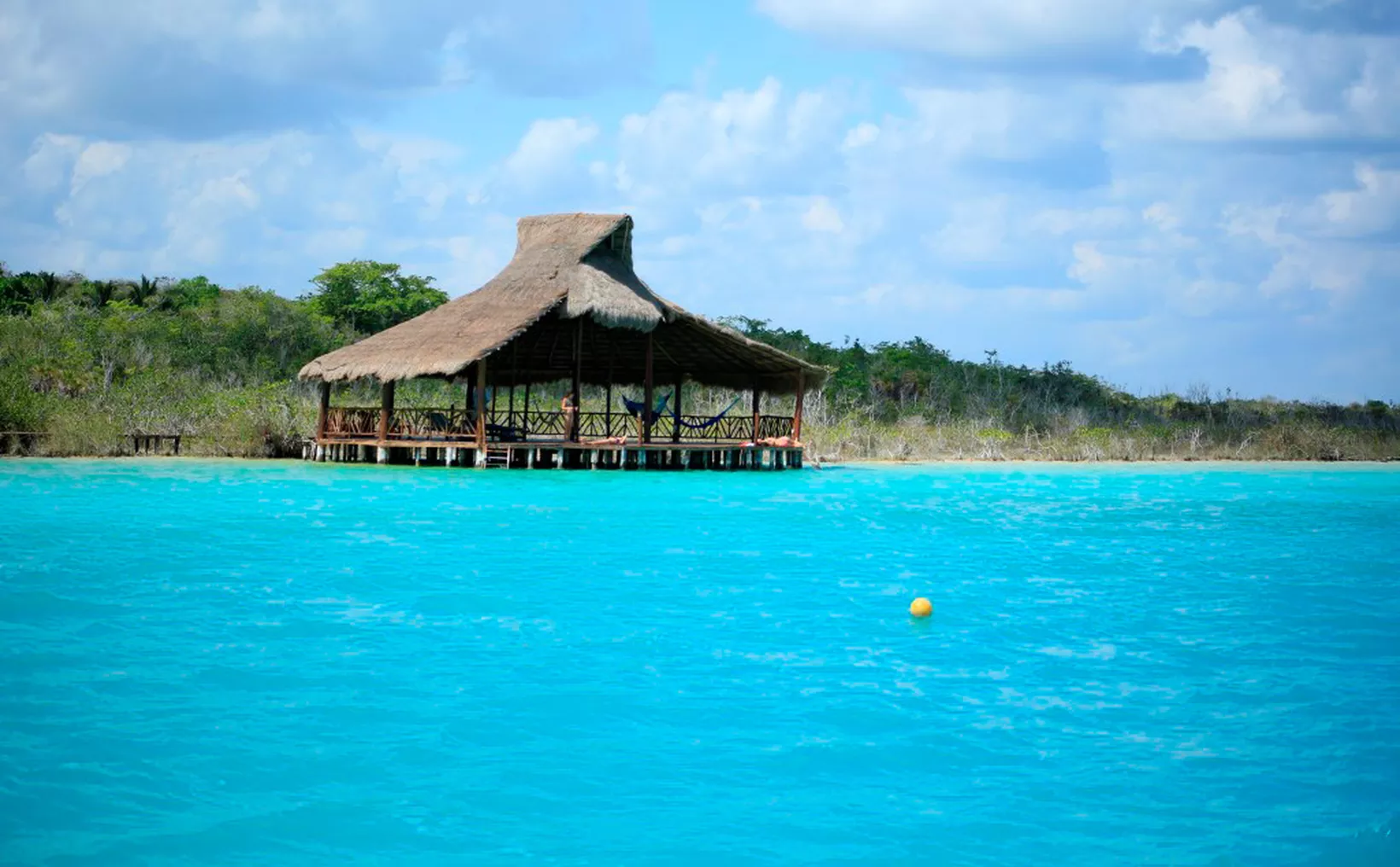 Degraded wetlands and mangroves in Bacalar Quintana Roo