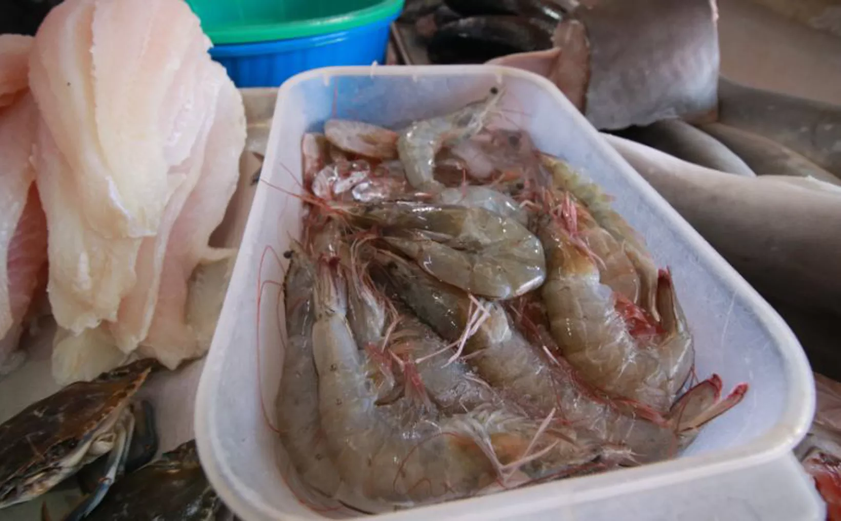 Processing plant in Yucatán's fishing industry showing certification standards