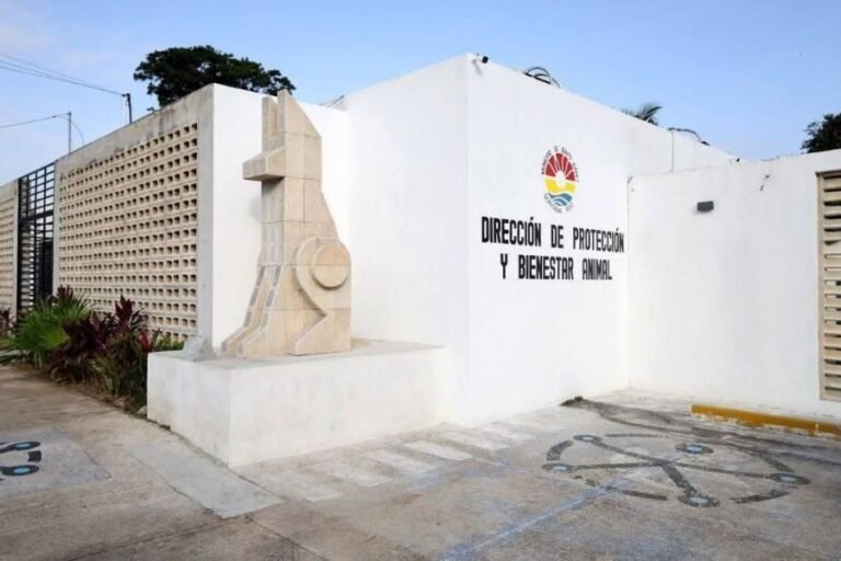 Exterior view of the renovated Cancún Animal Welfare Center