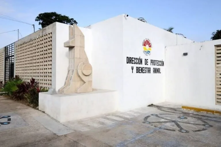 Exterior view of the renovated Cancún Animal Welfare Center