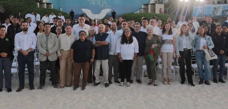 Sea turtle hatchlings being released on a Cancún beach