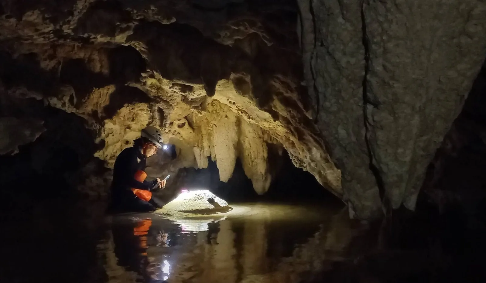 A cenote in Playa del Carmen, part of the water quality monitoring project
