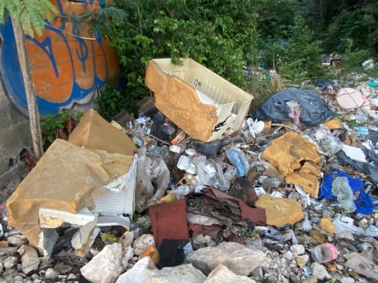 A clandestine dumpsite in a vacant lot in Playa del Carmen showing accumulated waste