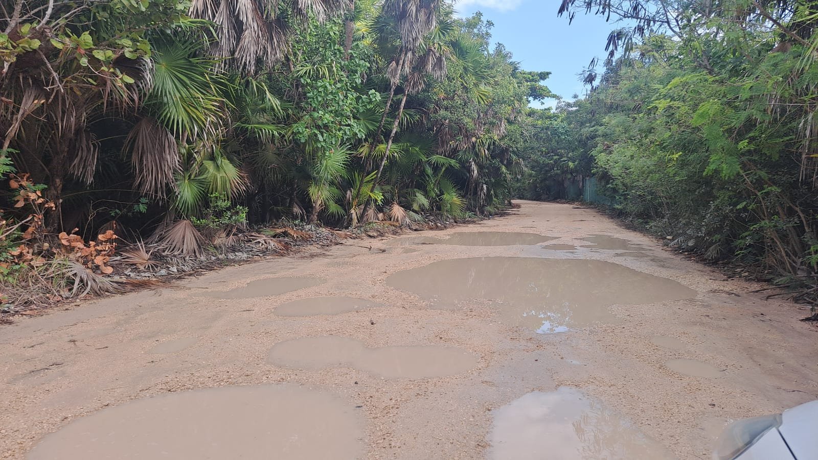 Severely damaged access road to Punta Allen community in Tulum region