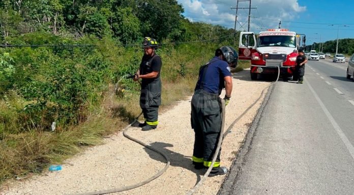 Firefighters working to extinguish a fire on a vacant lot under power lines on Federal Highway 307 near Calica