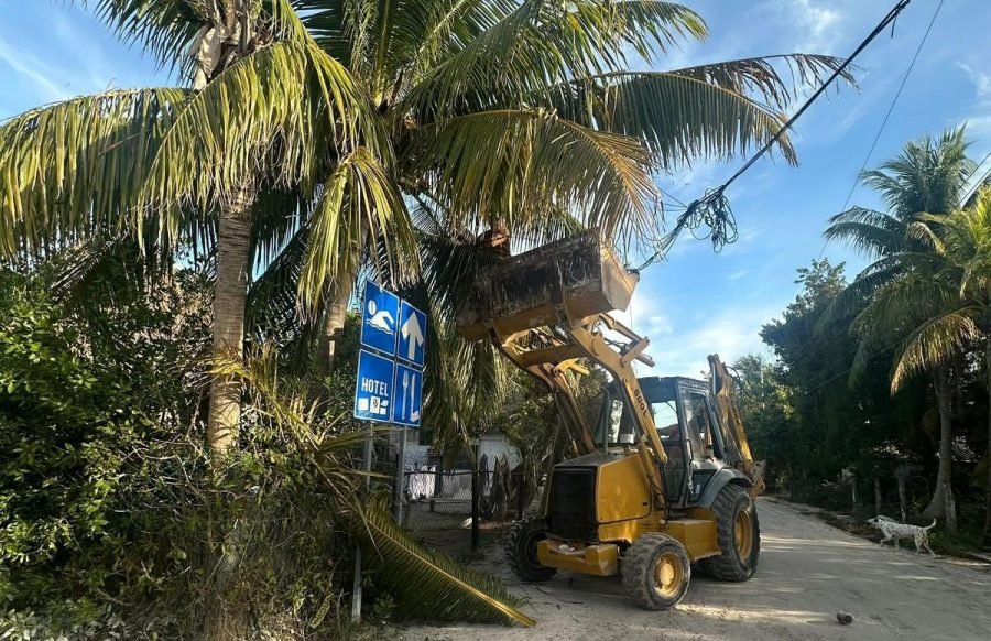 Workers conducting street cleaning and tree pruning in Holbox, Quintana Roo