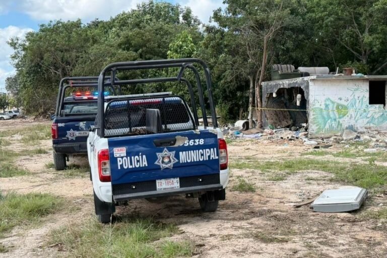 Human skeletal remains discovered in Cancún's Region 201