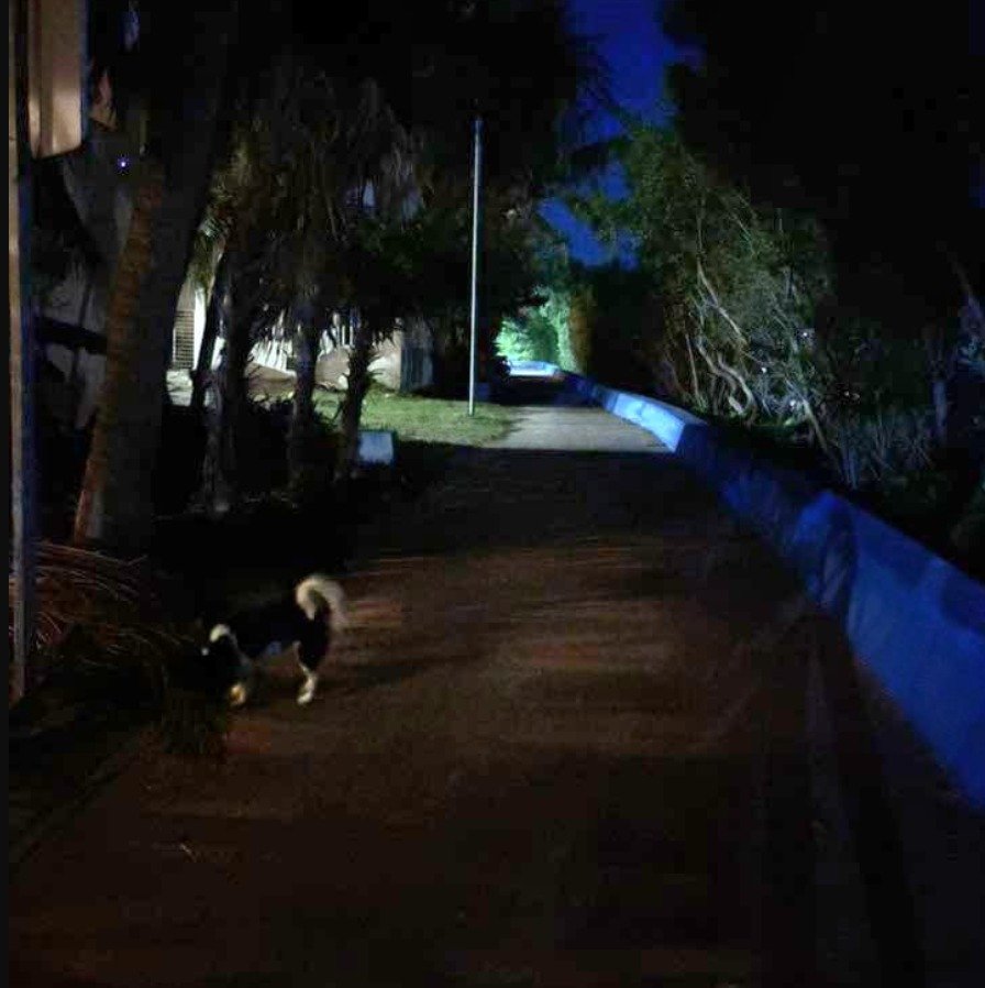 Isla Mujeres boardwalk area showing security and lighting issues