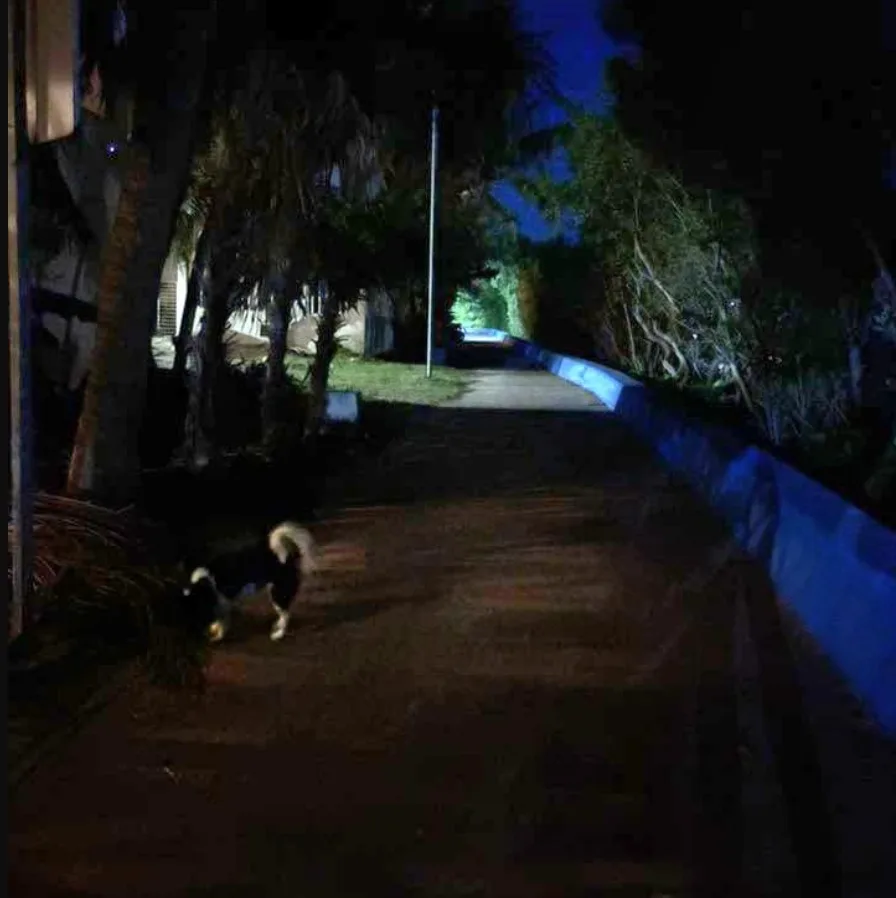 Isla Mujeres boardwalk area showing security and lighting issues