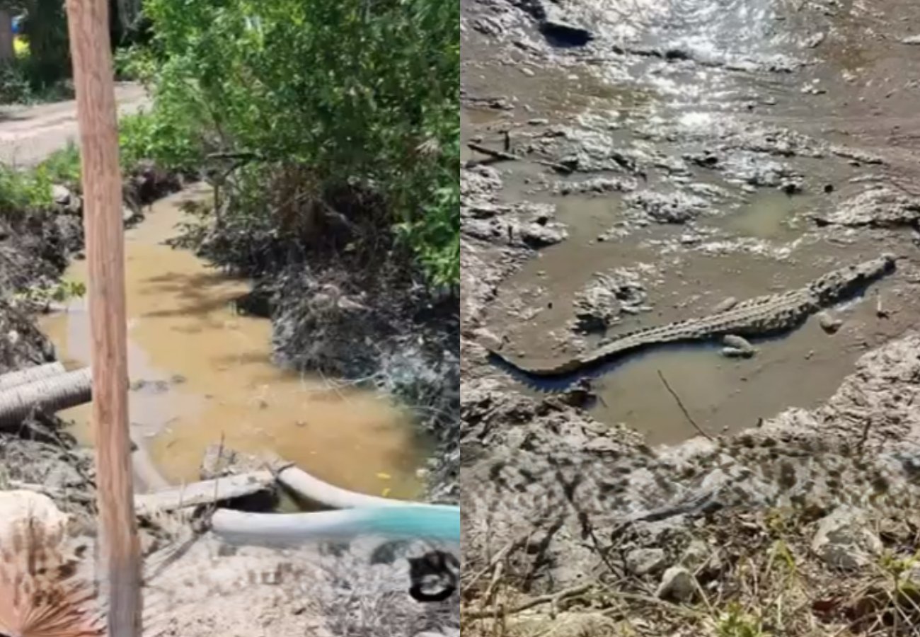 Construction site of Kuzá theme park in Cozumel showing heavy machinery and environmental impact