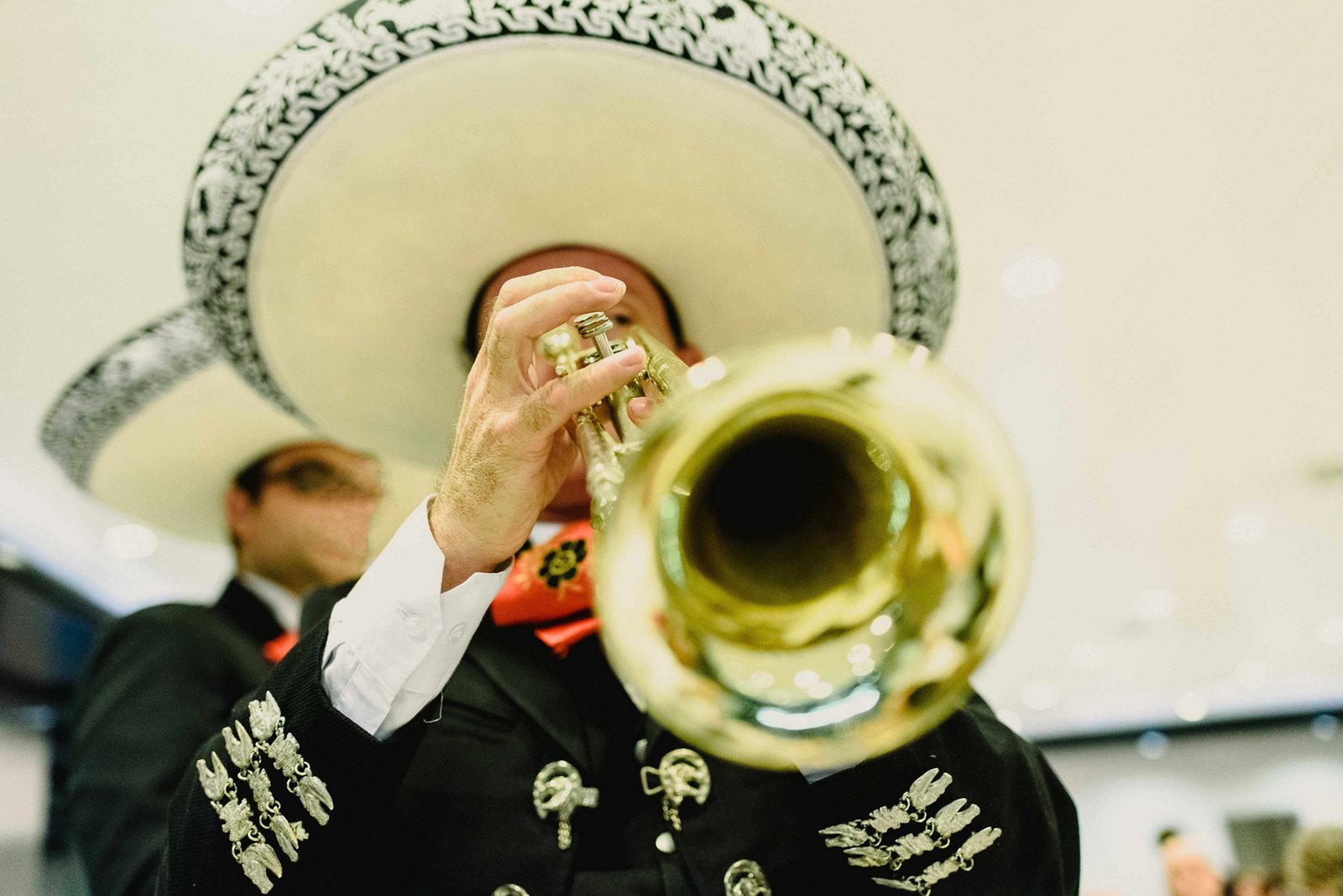 Mariachi musicians performing during Mariachi Day celebrations in Mexico