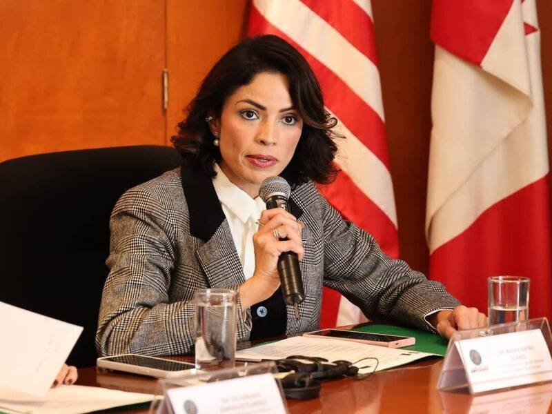 A passenger train in Mexico, part of the rail system that could be funded by a proposed tourist tax.
