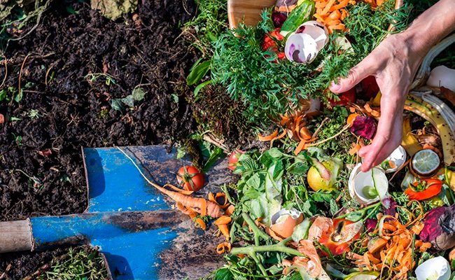 organic-biowaste-management