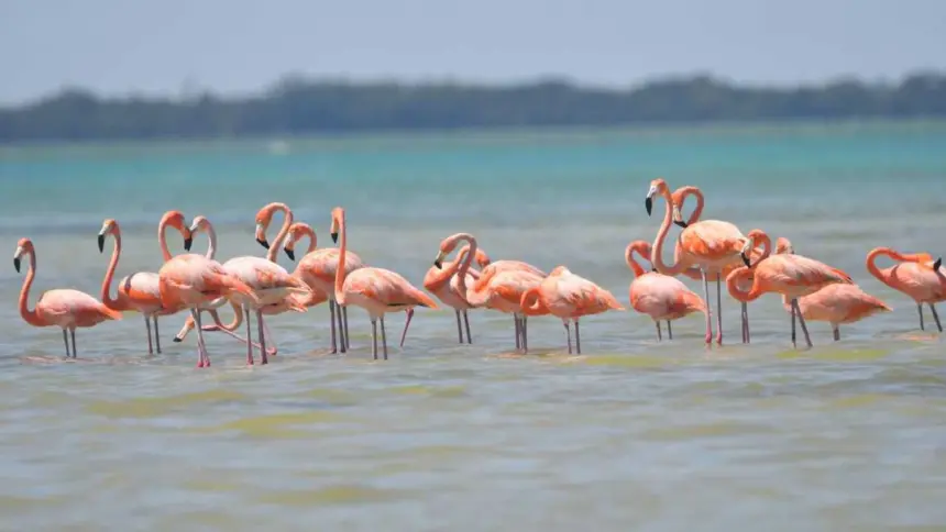 Palacio Nacional where Claudia Sheinbaum announced actions for 2026 in sustainable tourism
