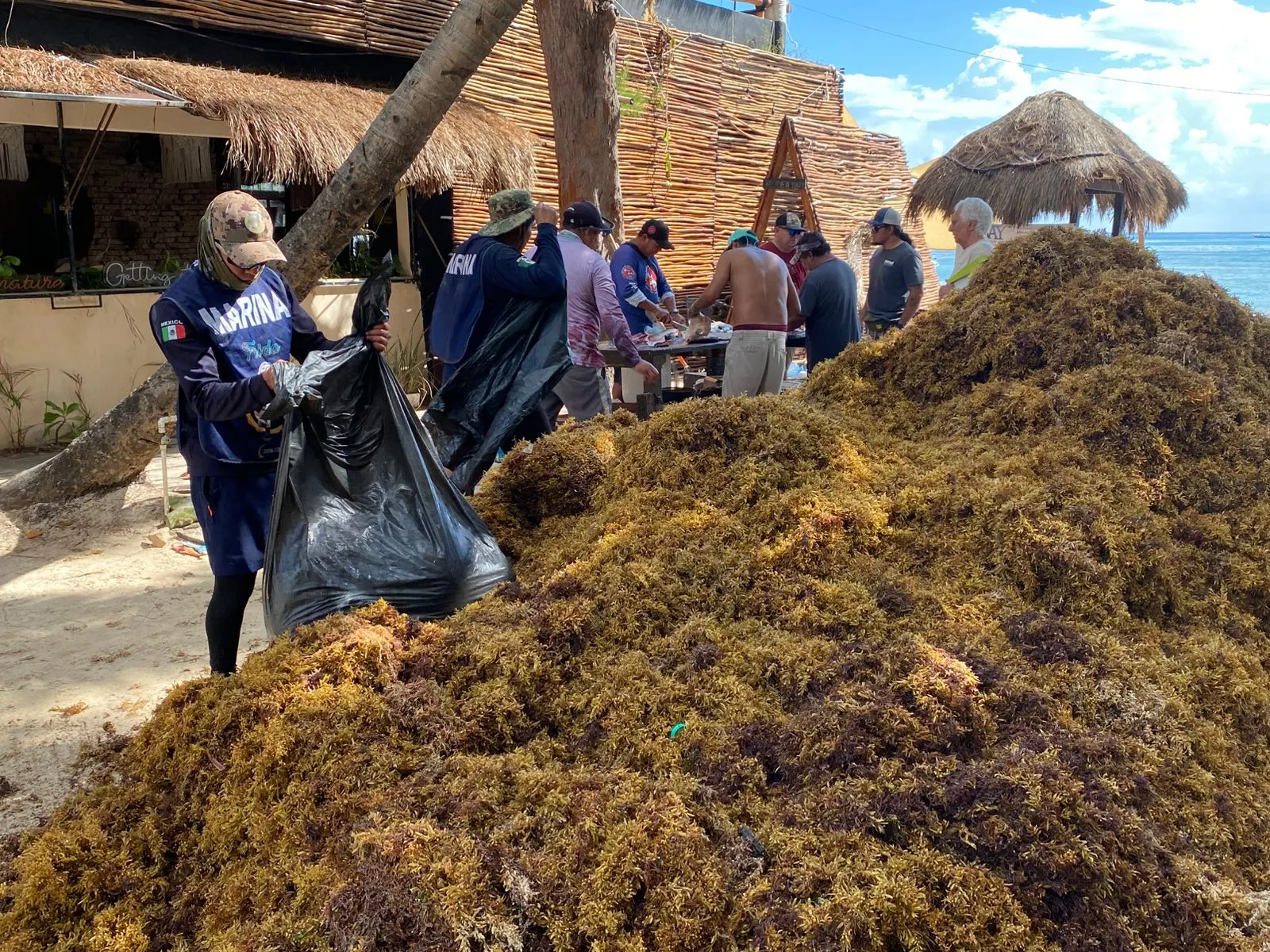 Workers cleaning sargassum from a beach in Playa del Carmen