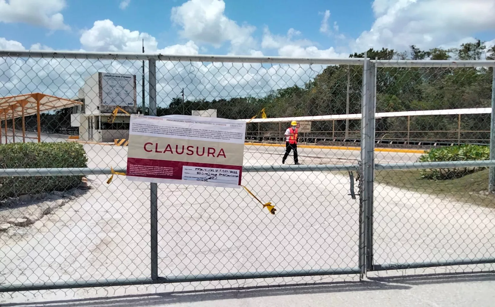 Playa del Carmen: Calica ordered to present reforestation plan