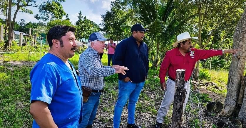 Sheep farming in Playa del Carmen under the Kilo a Kilo program
