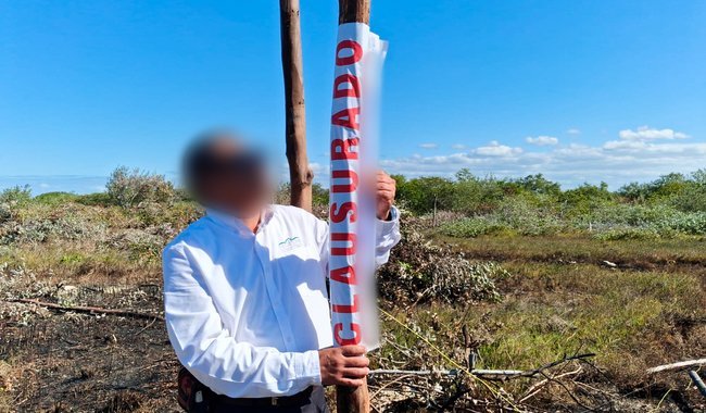 Profepa officials inspecting illegal mangrove subdivision site in Chelem, Progreso, Yucatán