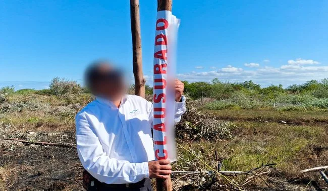Profepa officials inspecting illegal mangrove subdivision site in Chelem, Progreso, Yucatán