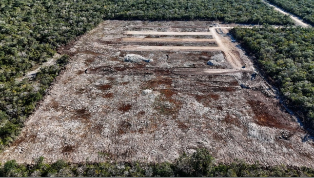Profepa officials securing machinery at the Kinchil, Yucatán site where closure seals were violated
