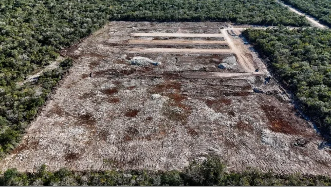 Profepa officials securing machinery at the Kinchil, Yucatán site where closure seals were violated