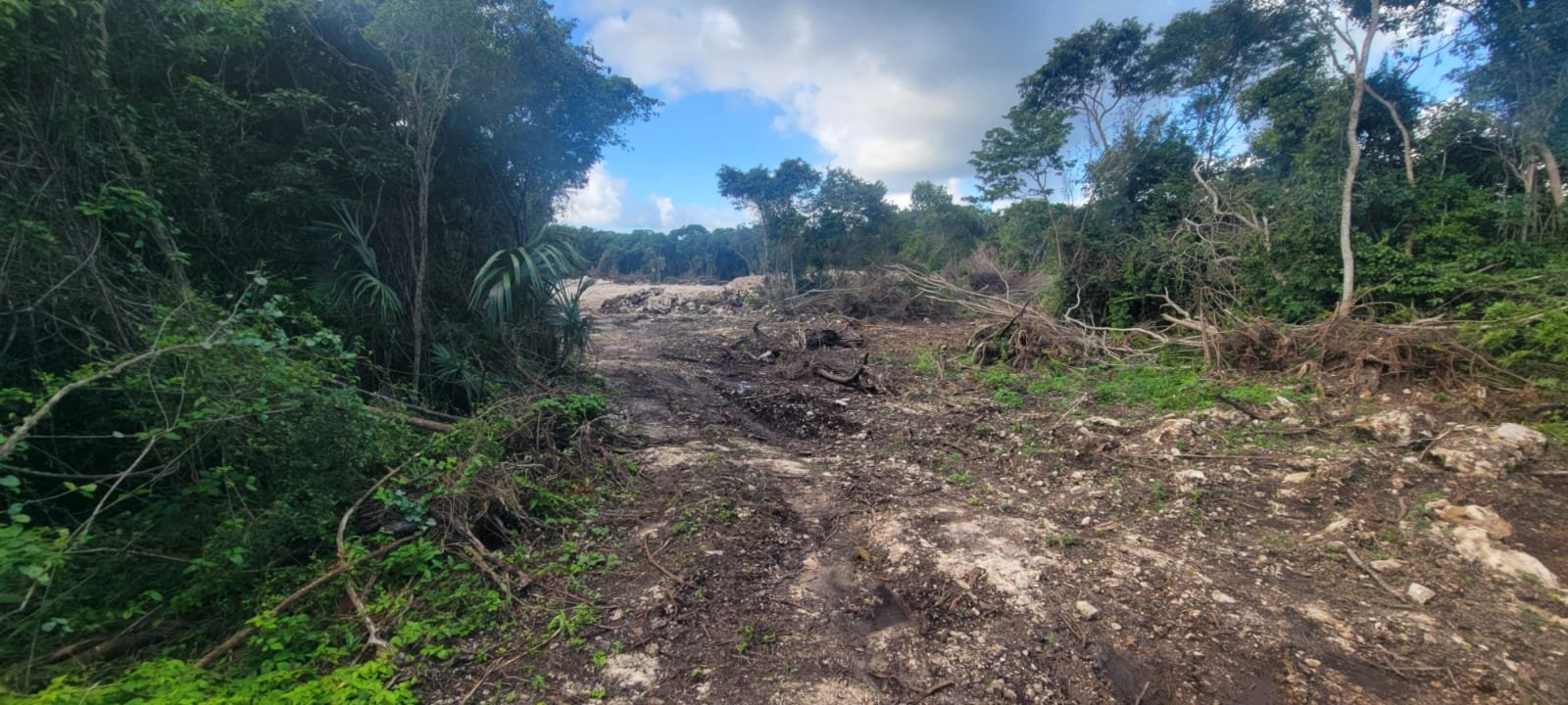 Aerial view of demolition waste site in Mahahual allegedly used by Royal Caribbean
