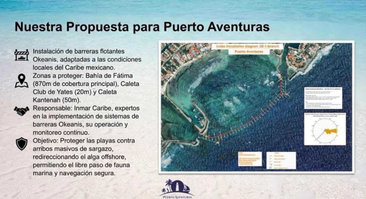 Proposed floating barrier to combat sargassum in Puerto Aventuras
