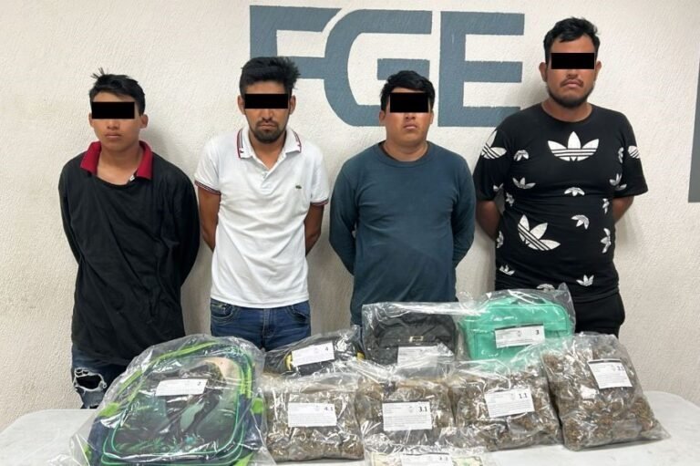 Seven suspected drug dealers arrested in Quintana Roo during security operations