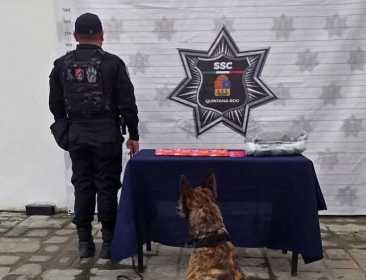 Suspected drugs found in suitcase at Playa del Carmen bus terminal