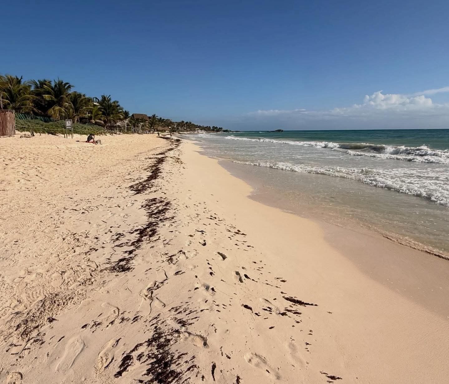 Clean beach in Tulum with minimal sargassum