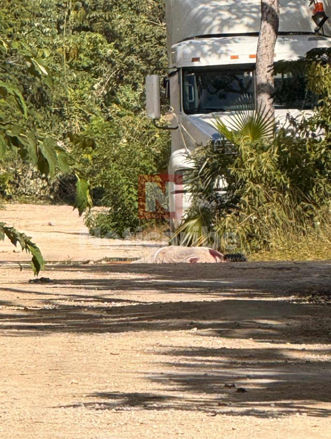 Crime scene in Tulum's Veleta neighborhood where a man was executed