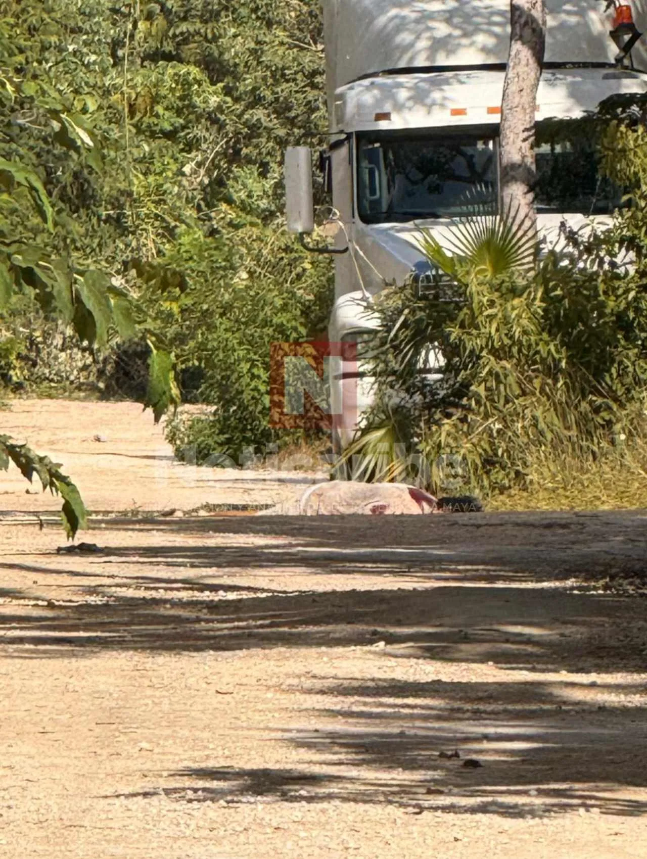 Crime scene in Tulum's Veleta neighborhood where a man was executed