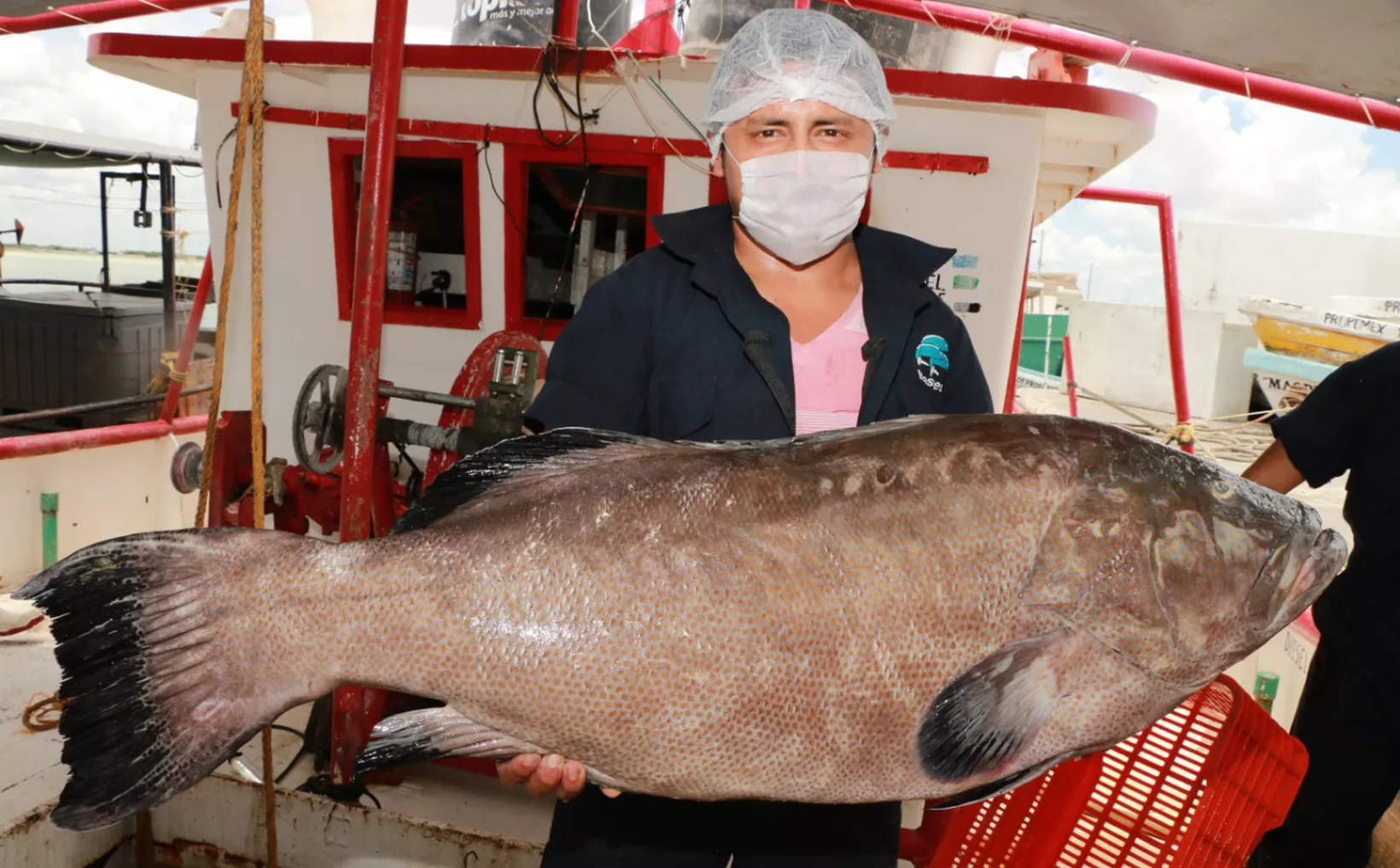 A photo illustrating the need for fishing sanctuaries to protect grouper in Quintana Roo.