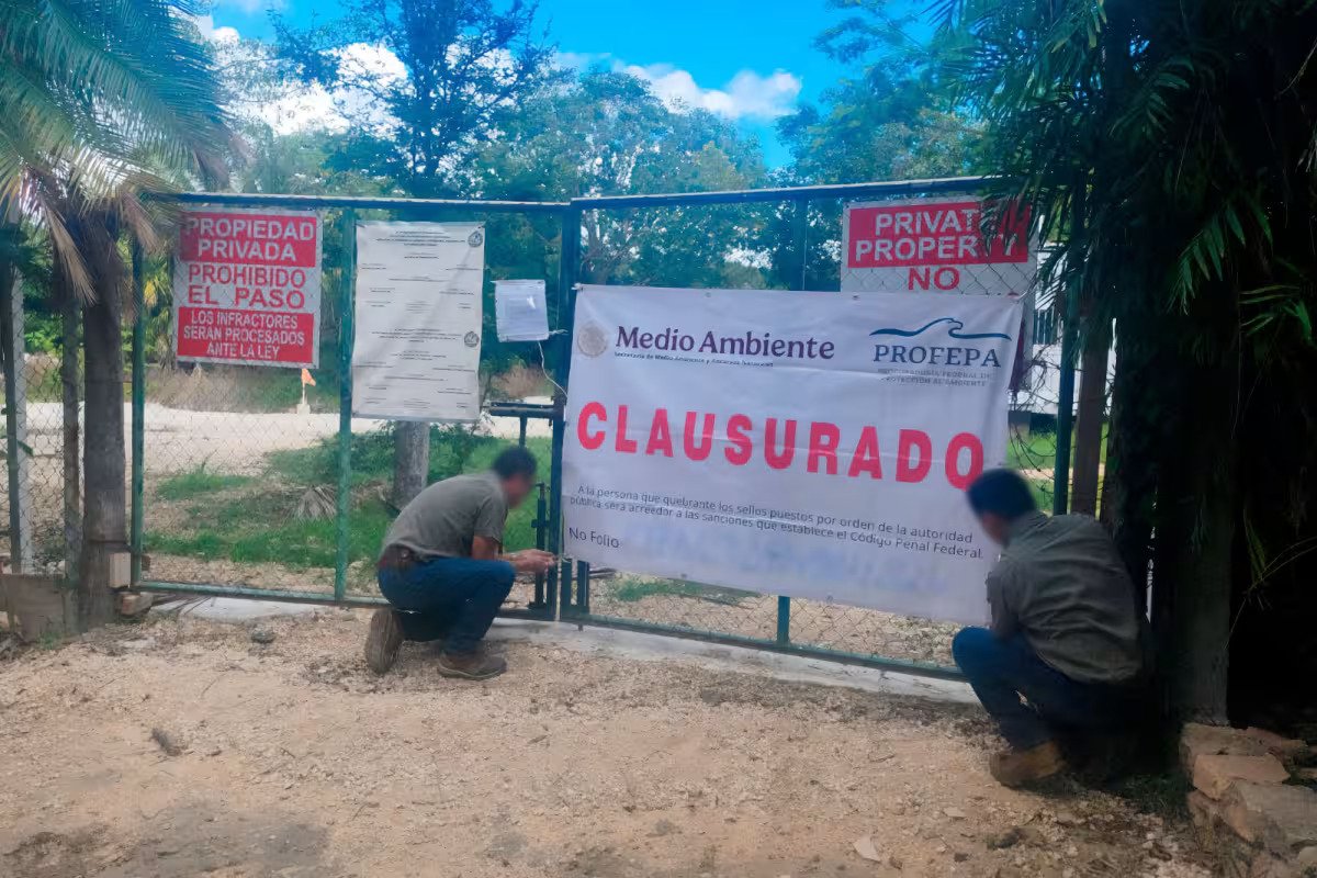 Authorities stand near a closed property during an anti-logging operation in Quintana Roo