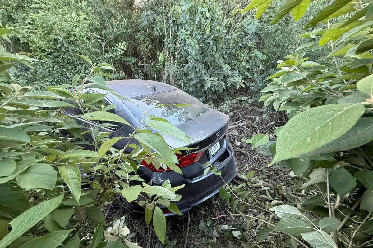 A damaged vehicle off the side of Federal Highway 307 near Cancún, surrounded by vegetation.