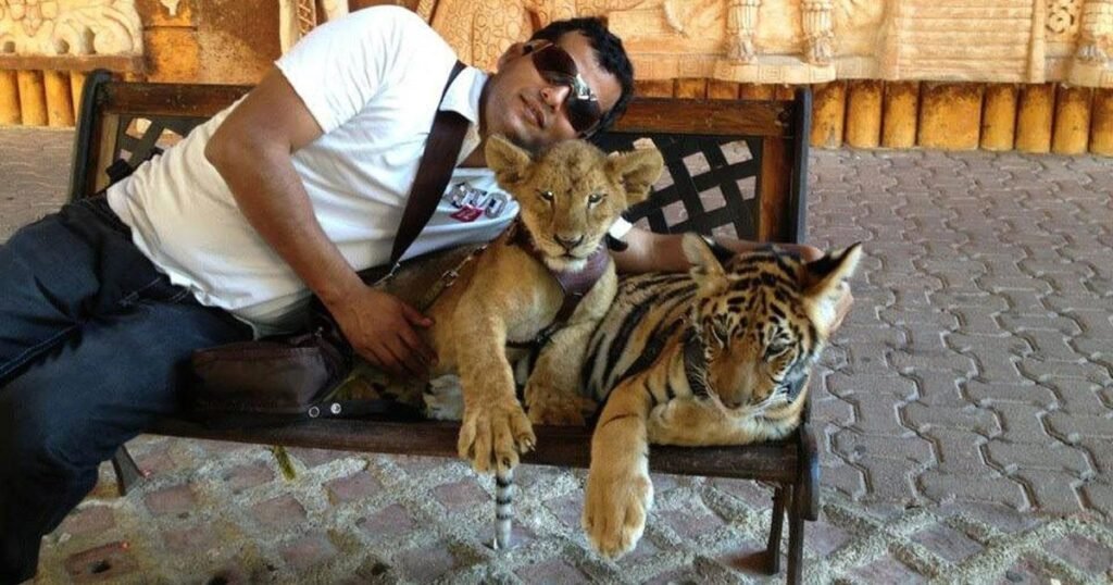 animal exploitation in playa del carmen