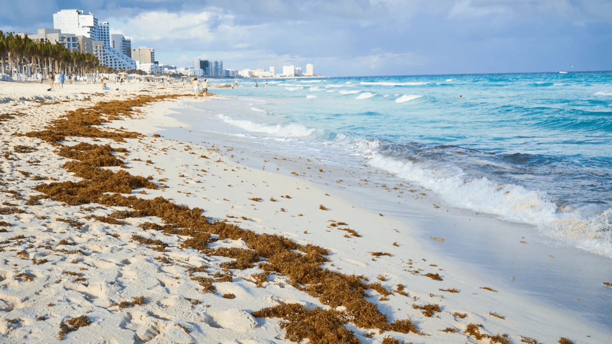 A view of a Cancun beach with clear water and minimal sargazo seaweed