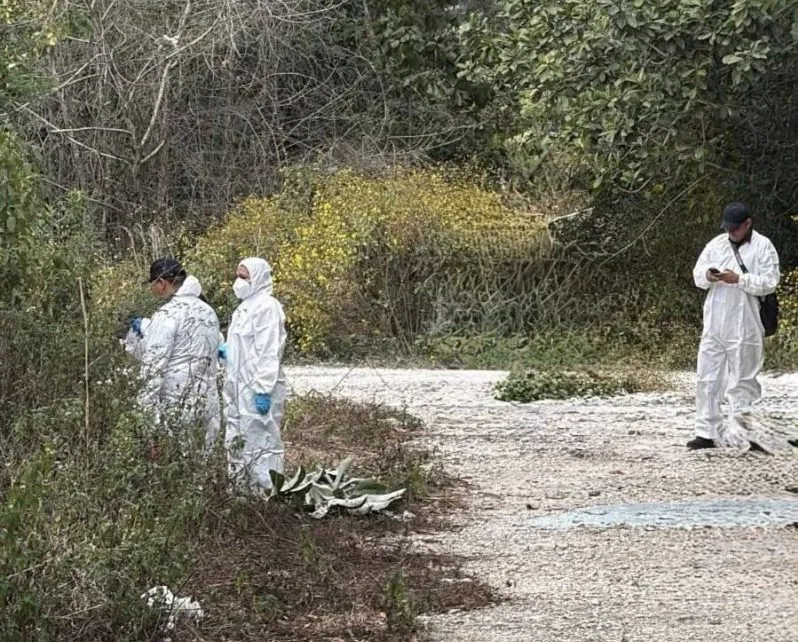Police and forensic personnel at the scene where human remains were discovered in Cancun