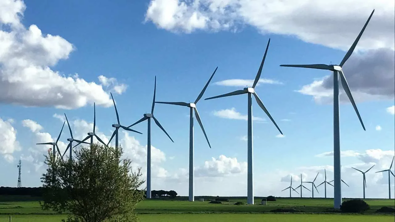A rendering showing wind turbines for the proposed Caribbean Winds Wind Farm in Quintana Roo, Mexico.