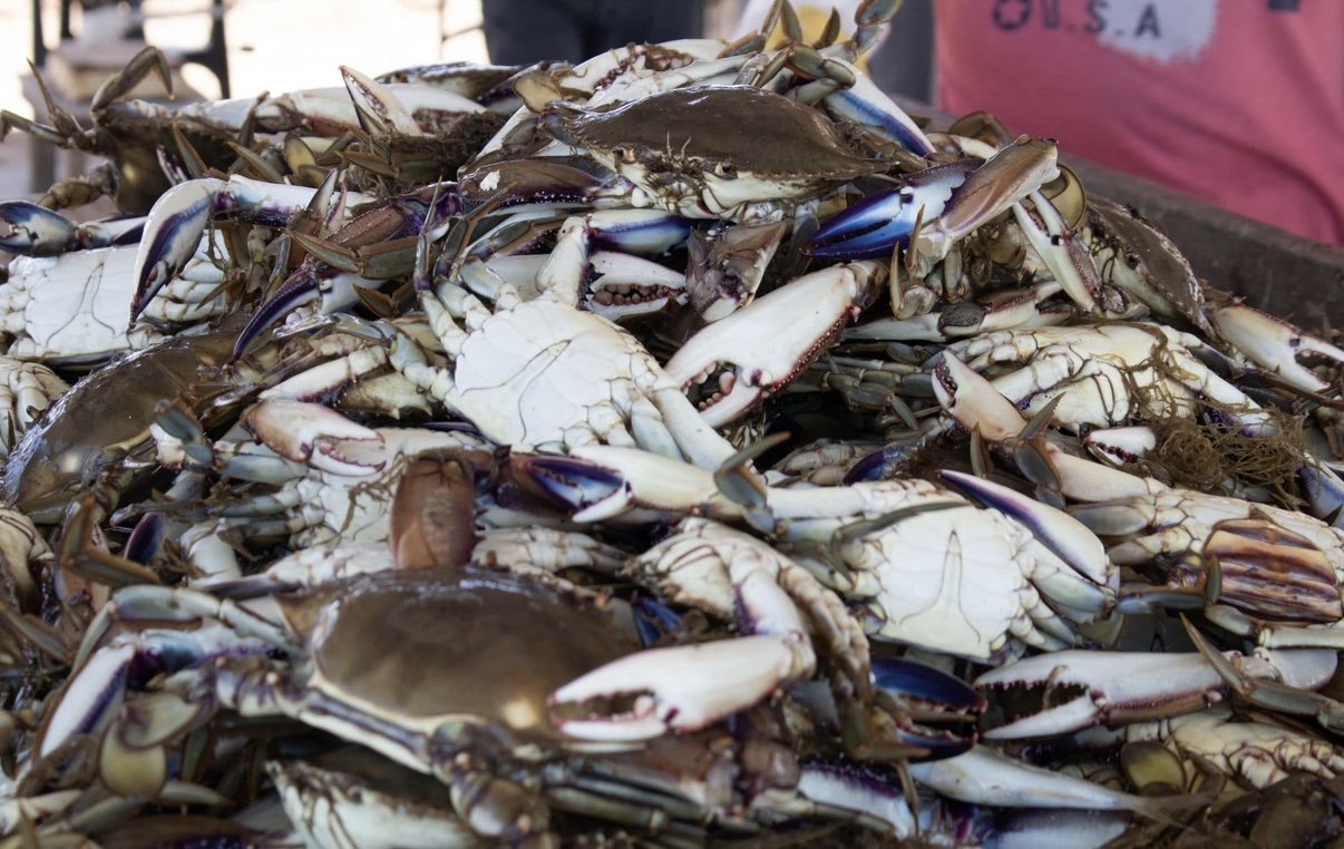Aerial view of Chetumal Bay in Quintana Roo, Mexico