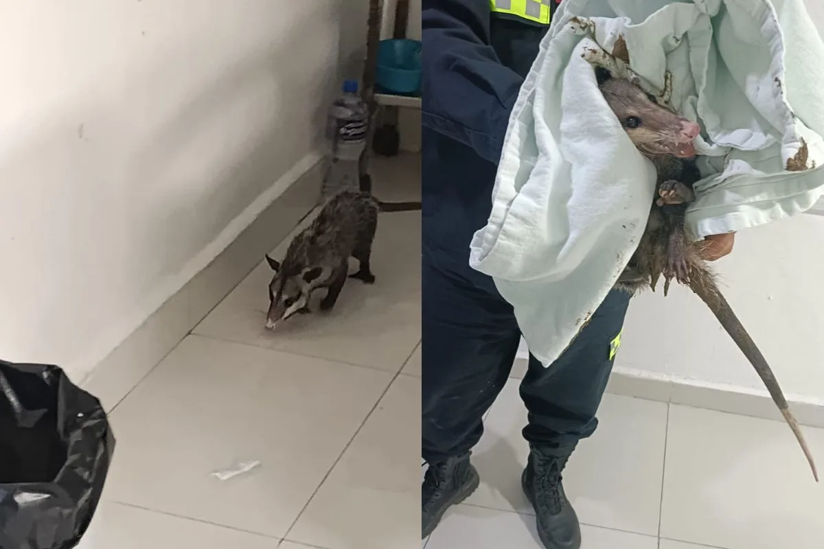 Exterior view of Chetumal General Hospital in Quintana Roo, Mexico