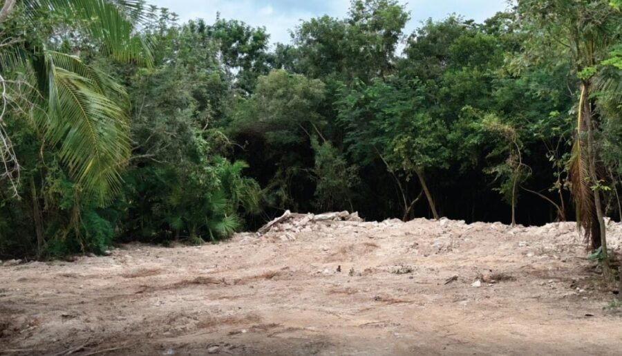 Mexican President Claudia Sheinbaum speaking about the Royal Caribbean Perfect Day Mahahual project