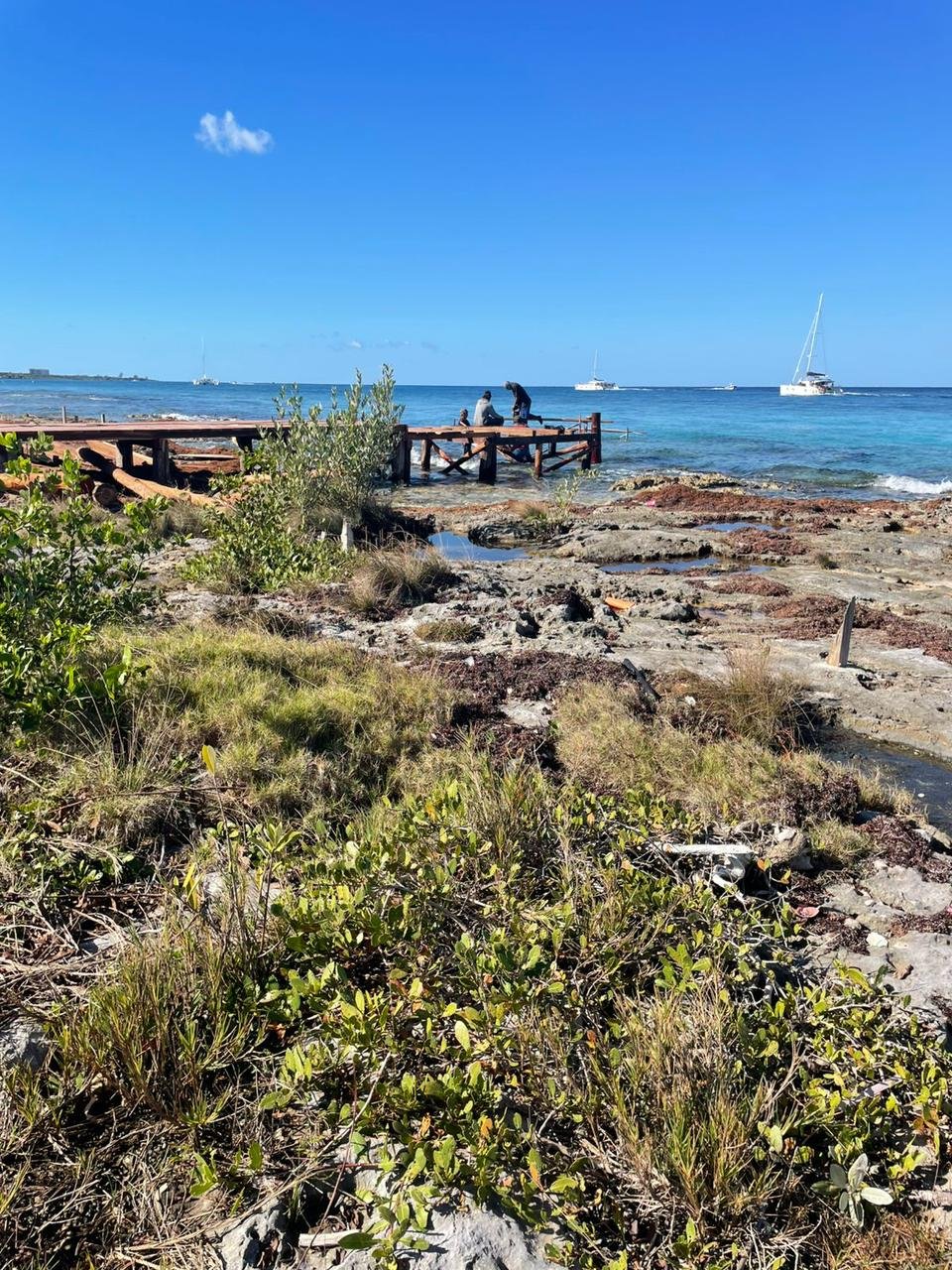 A wooden dock under construction on the rocky shoreline of Cozumel, Mexico