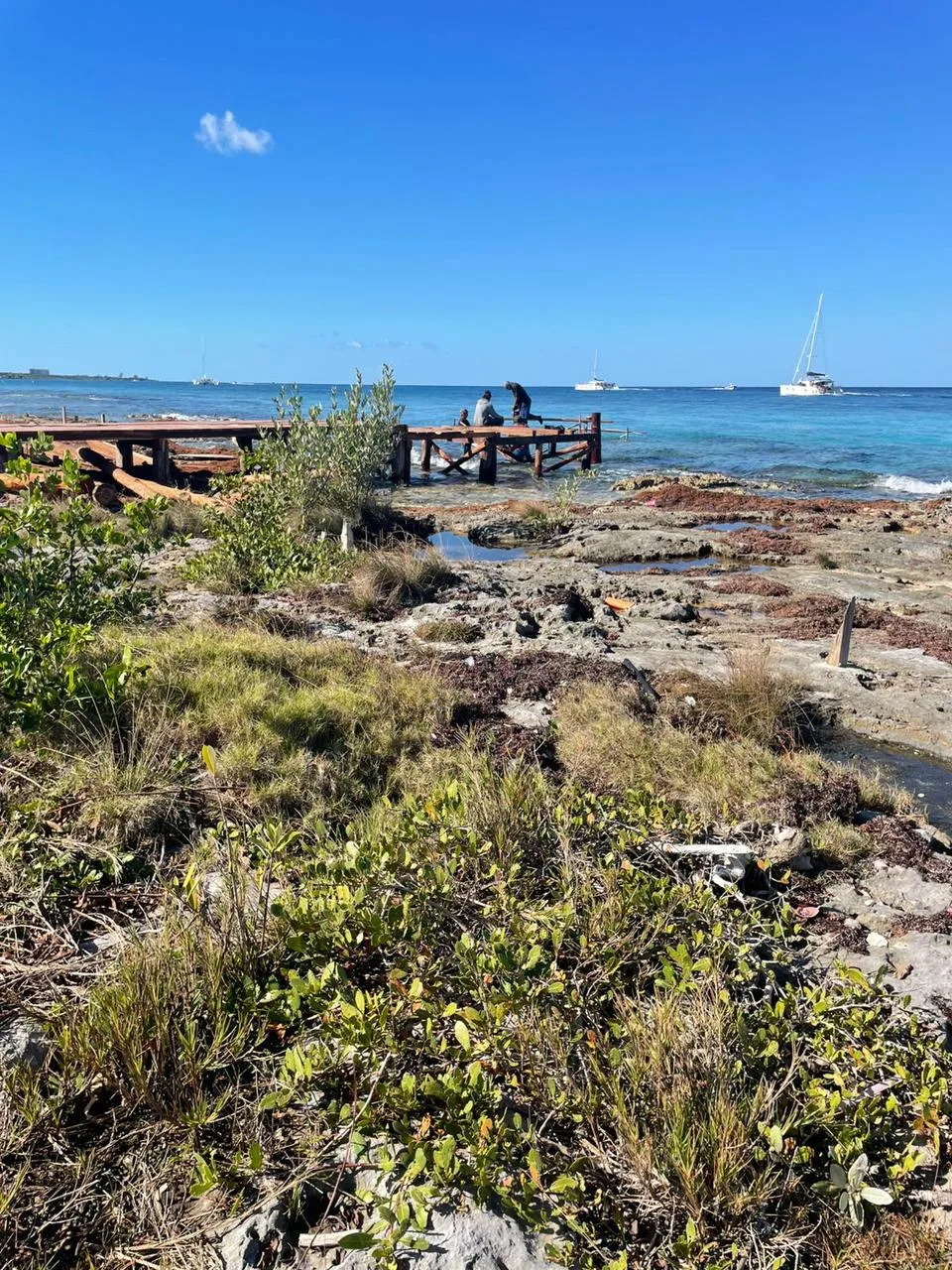 A wooden dock under construction on the rocky shoreline of Cozumel, Mexico