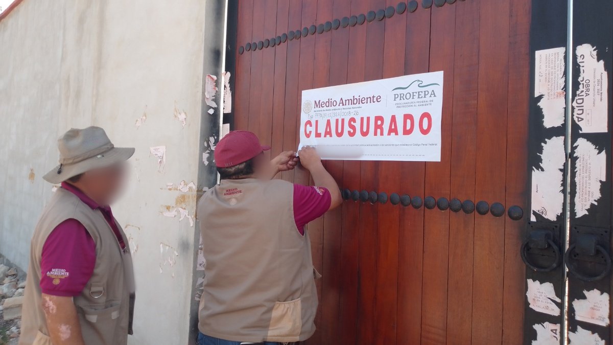 Environmental inspectors and National Guard personnel during an operation in the Cuxtal Reserve, Yucatan