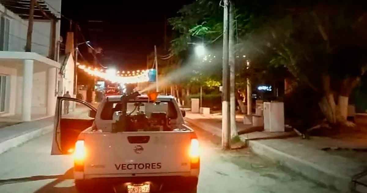 A mosquito illustration representing dengue prevention efforts in Quintana Roo