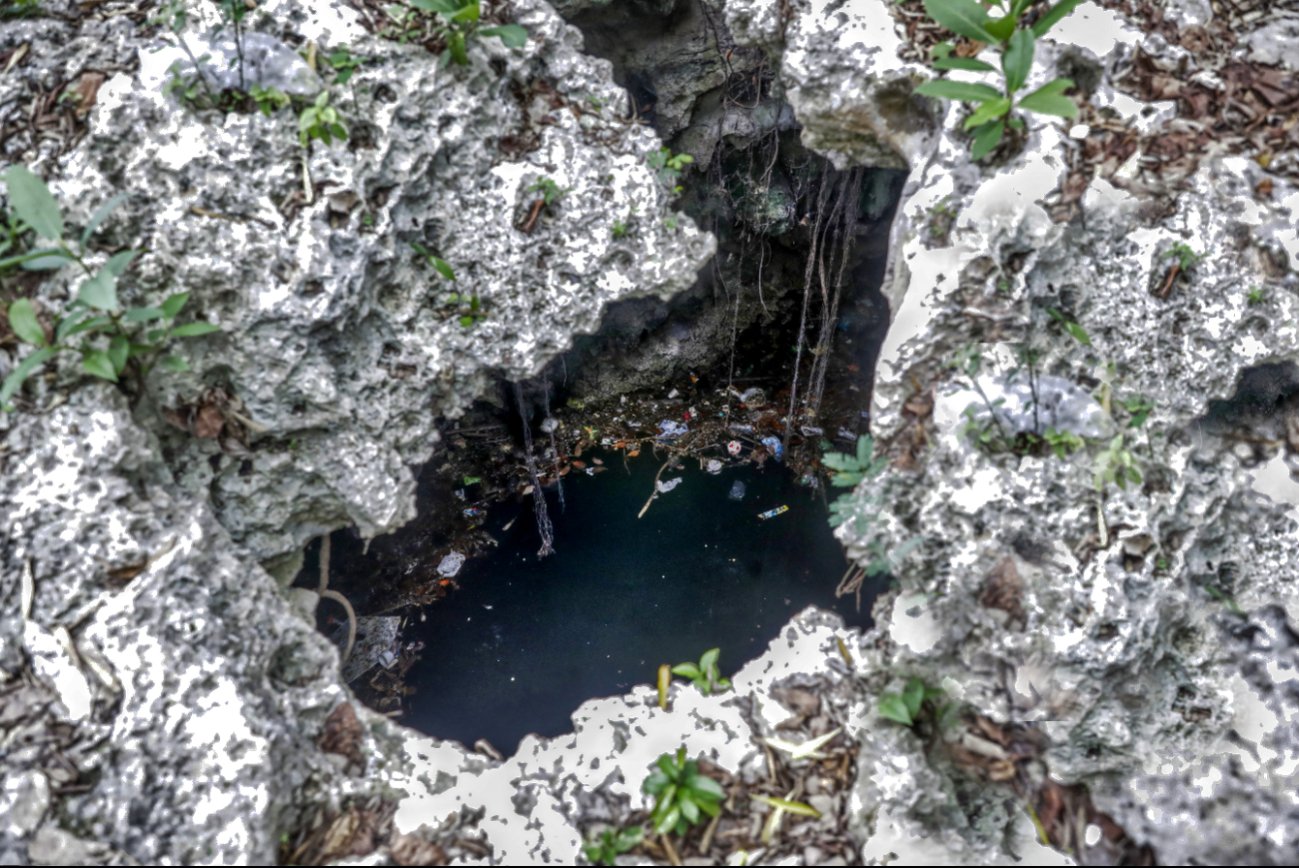 Epigmenio Cortés from the Benito Juárez College of Biologists discusses cenote contamination in Quintana Roo