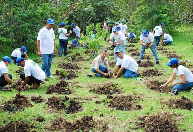 A forest area in José María Morelos, Quintana Roo, Mexico