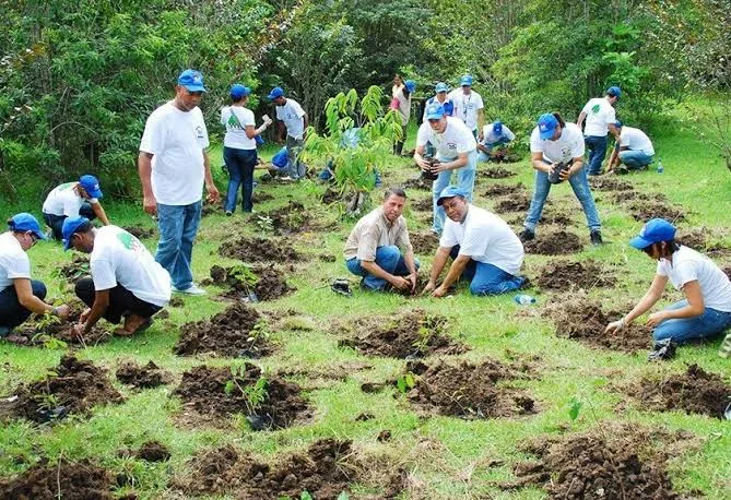 A forest area in José María Morelos, Quintana Roo, Mexico