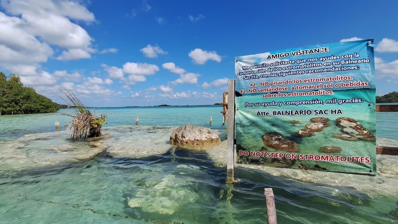 María Luisa Villarreal presenting her books on the microbialites of Bacalar Lagoon